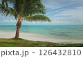 Green palm tree leaves swaying gently in the wind on a beautiful white sand beach with turquoise water and blue sky creating a perfect tropical paradise. Exotic travel vacation getaway. Static shot Green palm tree leaves swaying gently in the wind on a beautiful white sand beach with turquoise water and blue sky creating a perfect tropical paradise. Exotic travel vacation getaway. Static shot 126432810