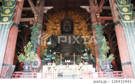 奈良公園 東大寺 大仏 鹿 奈良公園 東大寺 大仏 鹿 126432941