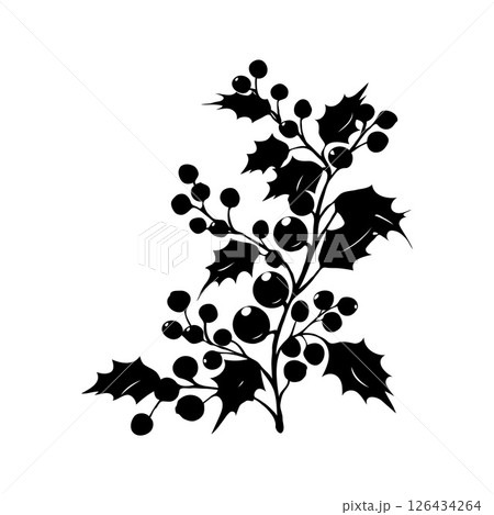 A silhouette of a Christmas holly berry with berries on a white background. Vector illustration 126434264