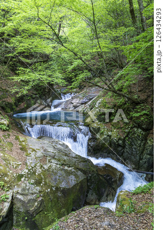 初夏の新緑に萌える西沢渓谷 126434293