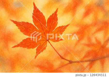 紅葉・もみじ・秋イメージ 紅葉・もみじ・秋イメージ 126434311