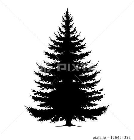 Black silhouette of a detailed pine tree with symmetrical branches on a white background. Concept of nature, wilderness, and evergreen forests 126434352