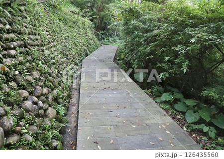 十分瀑布　台湾 126435560