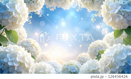 ホワイトのあじさいのお花のフレーム 126436426