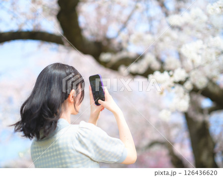 桜を撮る若い女性の後ろ姿(ピントはスマホ) 桜を撮る若い女性の後ろ姿(ピントはスマホ) 126436620