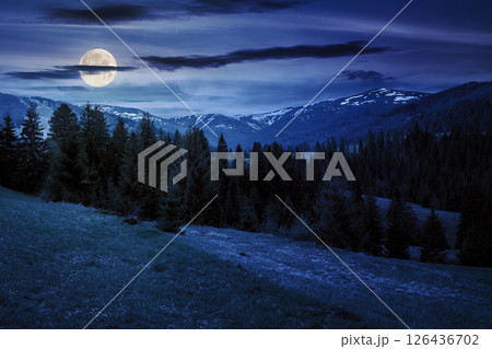 mountainous countryside landscape at night. coniferous forest on the hill in full moon light. snow capped distant ridge beneath a starry sky with dark clouds 126436702