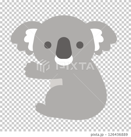 Koala 126436889