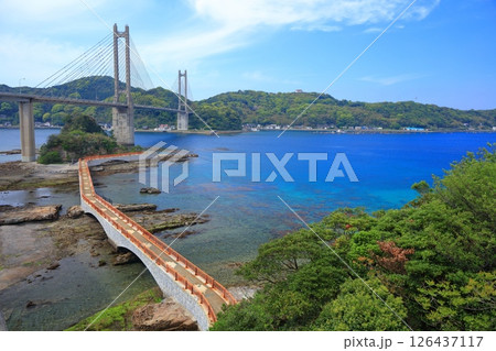 【佐賀県】晴天の呼子大橋 【佐賀県】晴天の呼子大橋 126437117