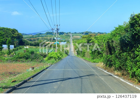 【佐賀県】晴天の加部島の天に続く道 126437119