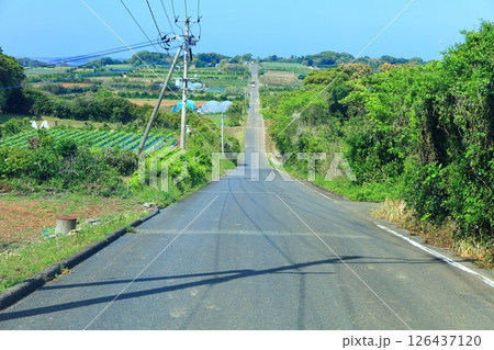 【佐賀県】晴天の加部島の天に続く道 【佐賀県】晴天の加部島の天に続く道 126437120