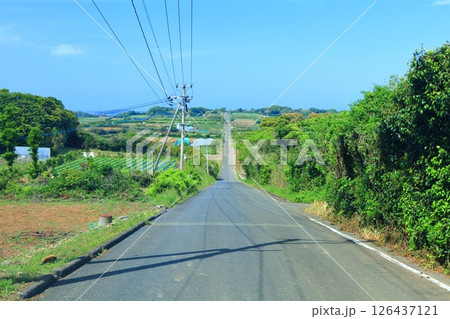 【佐賀県】晴天の加部島の天に続く道 126437121