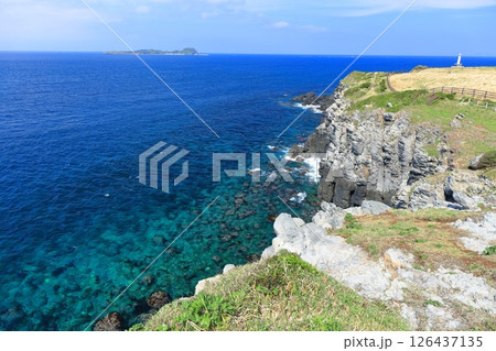 【佐賀県】晴天の肥前立石埼灯台と杉の原放牧場 126437135