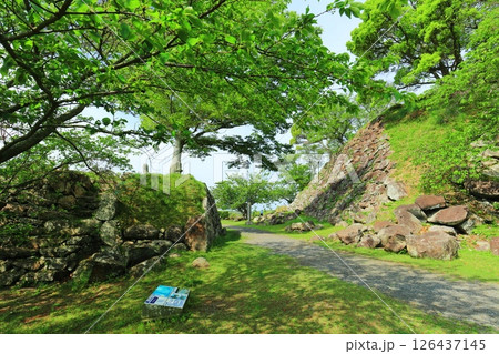 【佐賀県】晴天の名護屋城 大手道跡 126437145