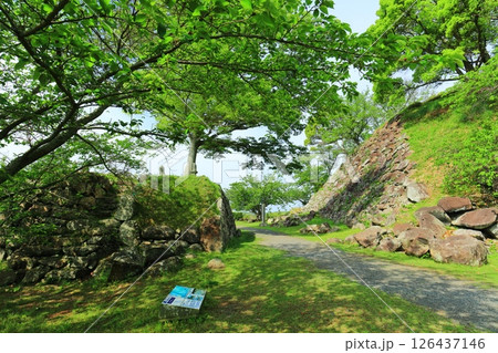 【佐賀県】晴天の名護屋城 大手道跡 【佐賀県】晴天の名護屋城 大手道跡 126437146