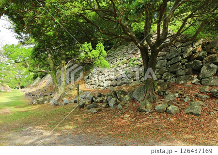 【佐賀県】晴天の名護屋城 馬場跡 126437169