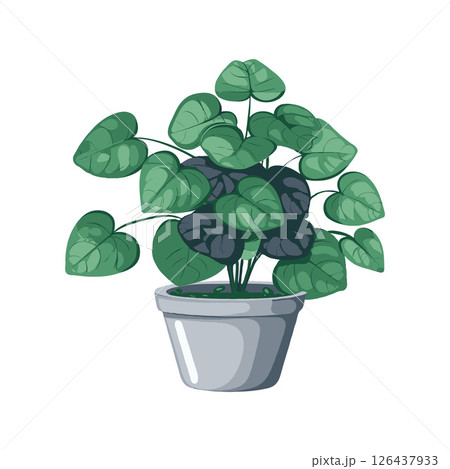 Decorative potted plant with lush heart-shaped leaves in a flat graphic style on white background, concept of indoor greenery and home decor 126437933