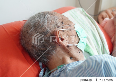 シニア 先輩 年上 126437960