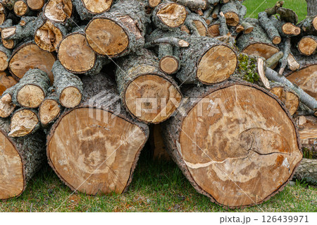 Pile of cut firewood logs and chopped tree trunks, seasoning heating fuel. High quality photo 126439971