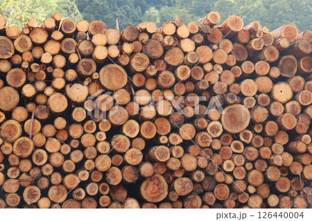材木置き場　間伐材　一時保管　積み上げ 126440004