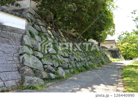 中津川沿いの黒田氏時代の中津城 石垣(大分県中津市) 中津川沿いの黒田氏時代の中津城 石垣(大分県中津市) 126440990