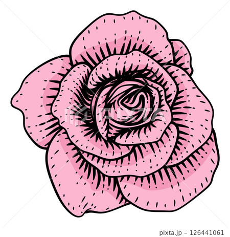 Rose Flower Woodcut Engraved Etching Illustration Rose Flower Woodcut Engraved Etching Illustration 126441061