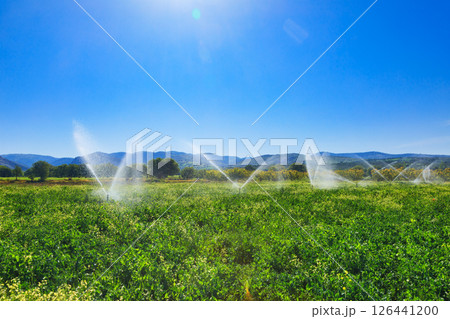 Rural farmland irrigation with sprinkler system Rural farmland irrigation with sprinkler system 126441200