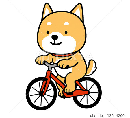 赤い自転車に乗っているしばいぬ 126442064