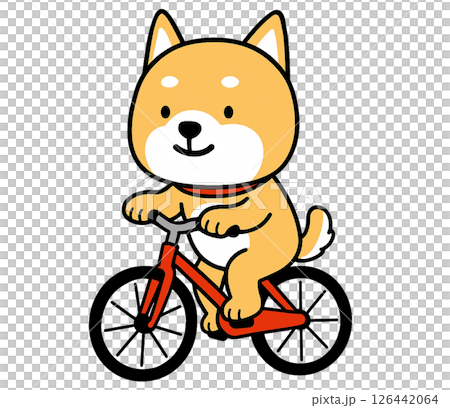 赤い自転車に乗っているしばいぬ 126442064