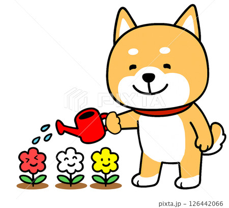 赤いジョウロで花に水やりをしているしばいぬ 126442066