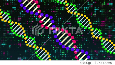 Image of dna strands over black background Image of dna strands over black background 126442260