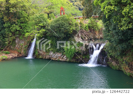 【佐賀県】新緑の轟の滝(轟の滝公園) 【佐賀県】新緑の轟の滝(轟の滝公園) 126442722