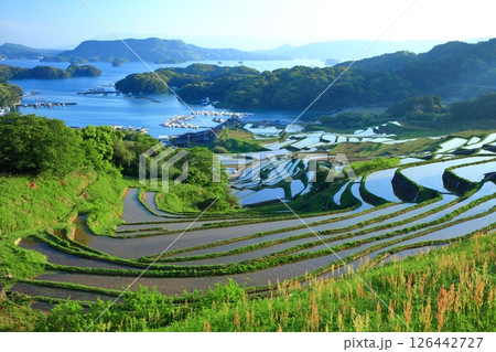 【佐賀県】晴天の大浦の棚田 126442727