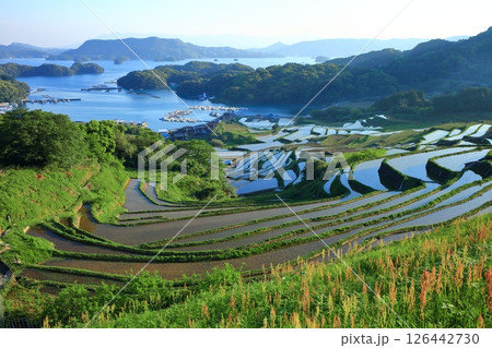 【佐賀県】晴天の大浦の棚田 126442730