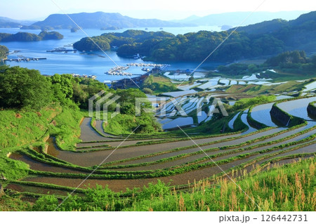 【佐賀県】晴天の大浦の棚田 126442731