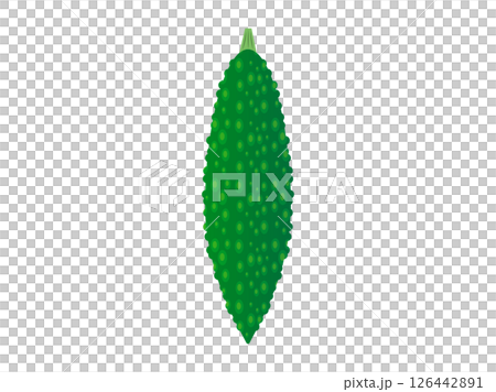 シンプルなゴーヤのイラスト 126442891