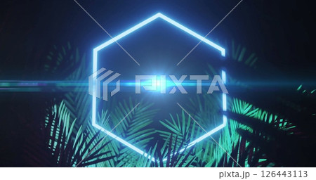 Image of neon hexagon and leaves on black background Image of neon hexagon and leaves on black background 126443113