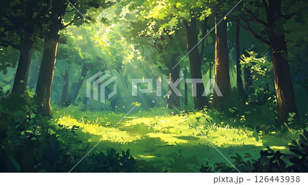 Lush green forest with tall trees and sunlight filtering through. 126443938
