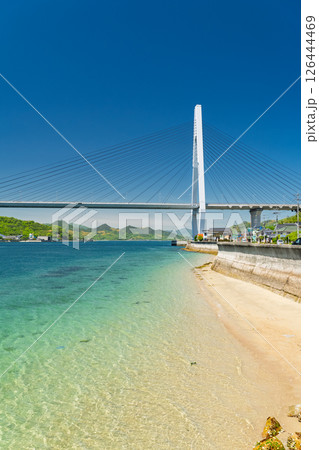 《広島県》生口橋・因島の海岸風景 《広島県》生口橋・因島の海岸風景 126444469