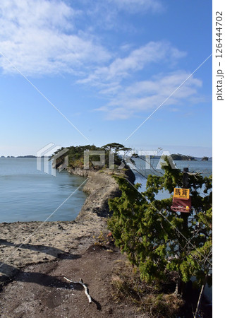 宮城県利府町の馬の背 126444702