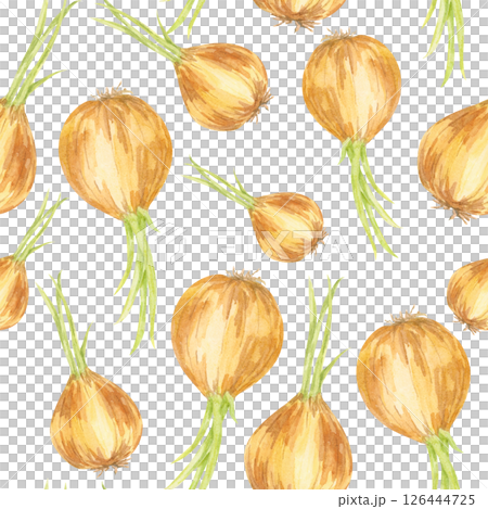 Watercolor onions in varying sizes and tones arranged in a seamless pattern. Use this vegetable clipart in surface design, wrapping paper, recipe cards, or food-themed home decor Watercolor onions in varying sizes and tones arranged in a seamless pattern. Use this vegetable clipart in surface design, wrapping paper, recipe cards, or food-themed home decor 126444725