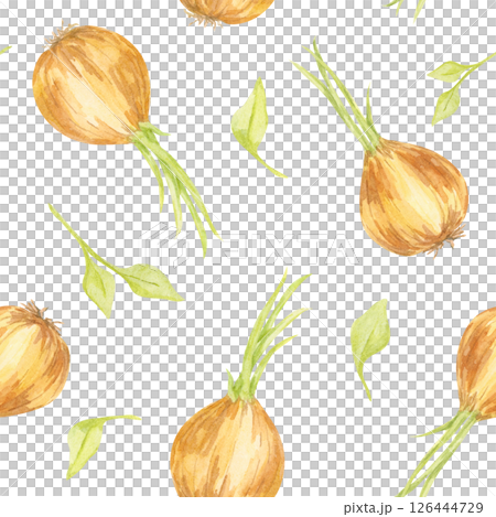 Golden onions with green tops painted in watercolor style form a seamless pattern clipart. Perfect for food packaging, fabric prints, kitchenware, or digital paper designs Golden onions with green tops painted in watercolor style form a seamless pattern clipart. Perfect for food packaging, fabric prints, kitchenware, or digital paper designs 126444729