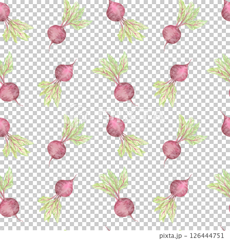 Purple beets with leafy green tops in watercolor clipart. Garden Vegetables seamless pattern illustration. Ideal for kitchen textiles, packaging, eco-themed paper goods, or farm-style surface designs Purple beets with leafy green tops in watercolor clipart. Garden Vegetables seamless pattern illustration. Ideal for kitchen textiles, packaging, eco-themed paper goods, or farm-style surface designs 126444751