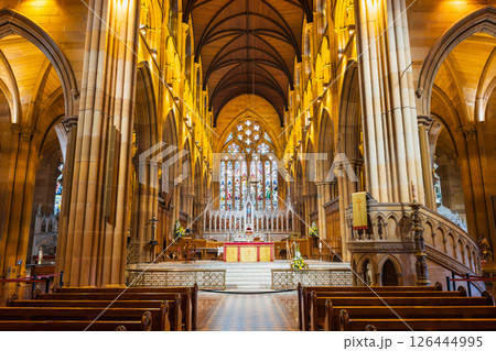 シドニー　セント・メアリー大聖堂 126444995