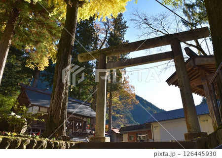 秋の奥氷川神社　東京 126445930