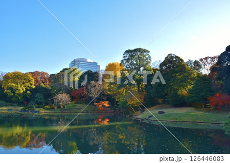 紅葉が美しい六義園 東京 紅葉が美しい六義園 東京 126446083
