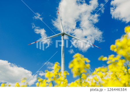 Wind turbine field. Wind turbines generating energy against a clear blue sky. Wind turbines generating clean renewable energy in a rural field. Wind turbine field. Wind turbines generating energy against a clear blue sky. Wind turbines generating clean renewable energy in a rural field. 126446384