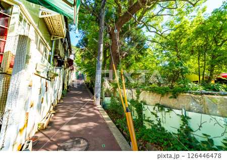 【重要伝統的建造物群保存地区】北野町山本通 うろこの家へと向かう路地 兵庫県神戸市中央区 【重要伝統的建造物群保存地区】北野町山本通 うろこの家へと向かう路地 兵庫県神戸市中央区 126446478