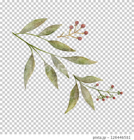 Watercolor illustration green leaves, grass, forest branch red berries. Summer image hand-drawn isolated on white background in vintage style for design of postcards, clothes, holiday, invitations 126446581