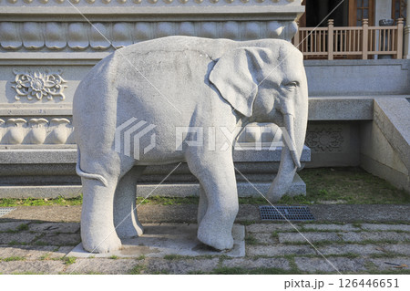 台湾・宝覚禅寺の白象(釈迦の化身) 台湾・宝覚禅寺の白象(釈迦の化身) 126446651