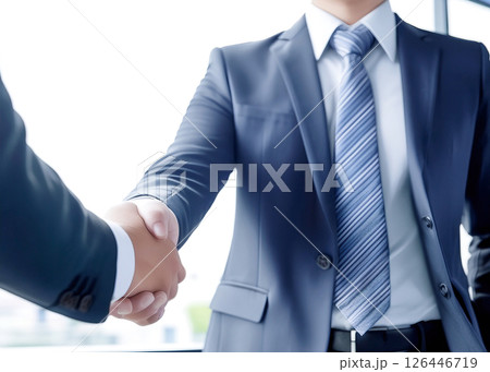 商談が決まって握手するビジネスマンをイメージ 126446719